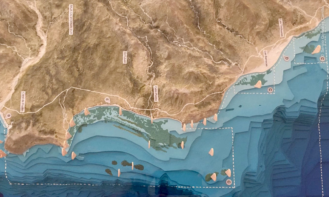 Maqueta de la costa de Cabo Pulmo y las bahías cercanas. Foto por Gustavo Danemann.