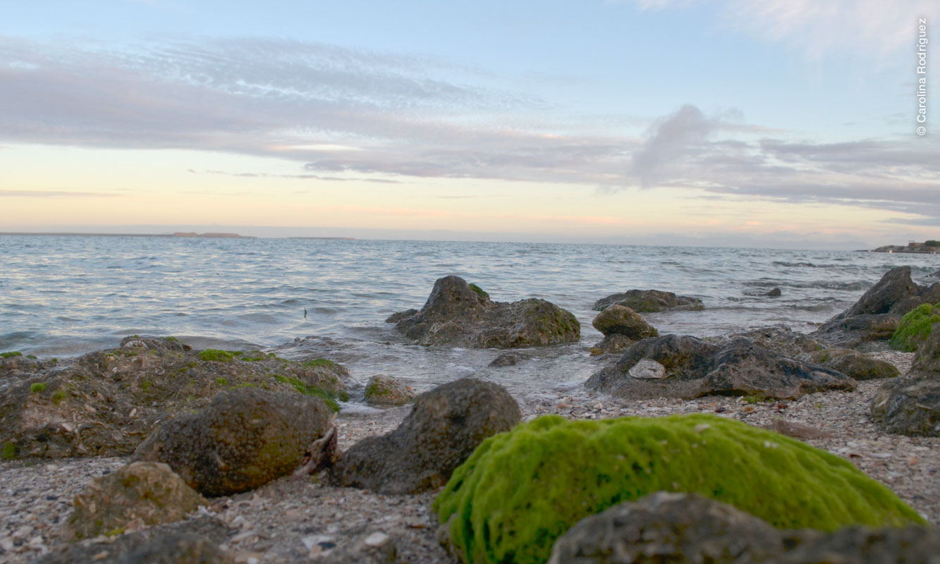 Paisaje Laguna San Ignacio.