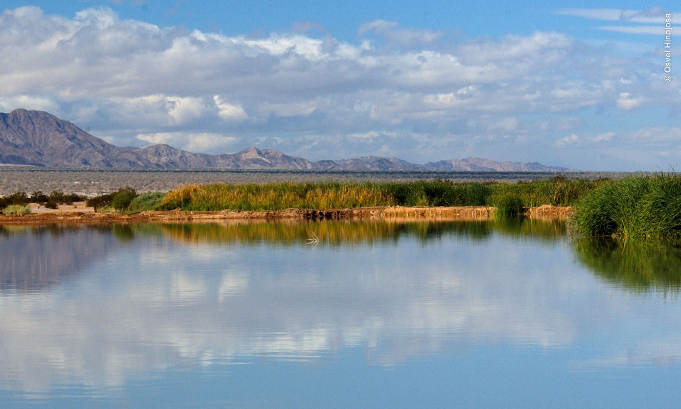 Humedal Ciénega de Santa Clara