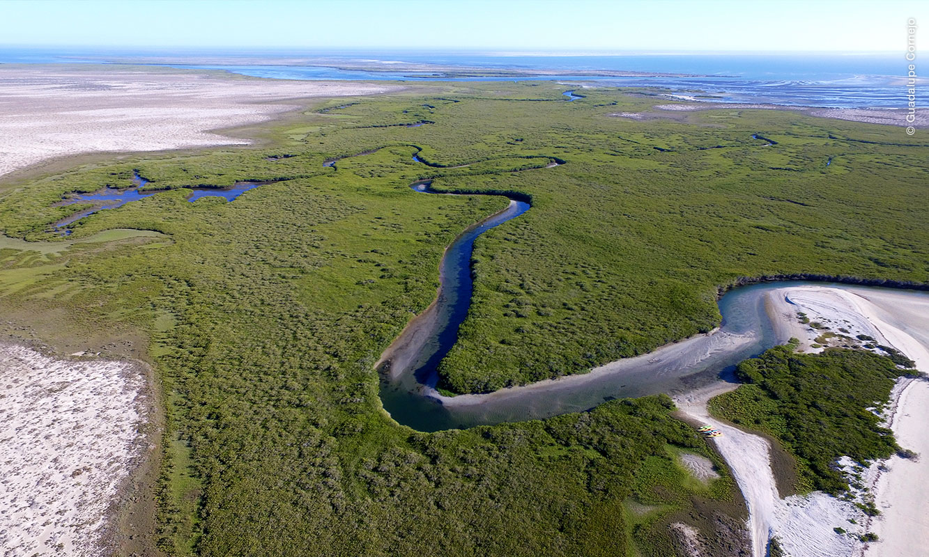 Vista aerea de Laguna San Ignacio, Baja California Sur