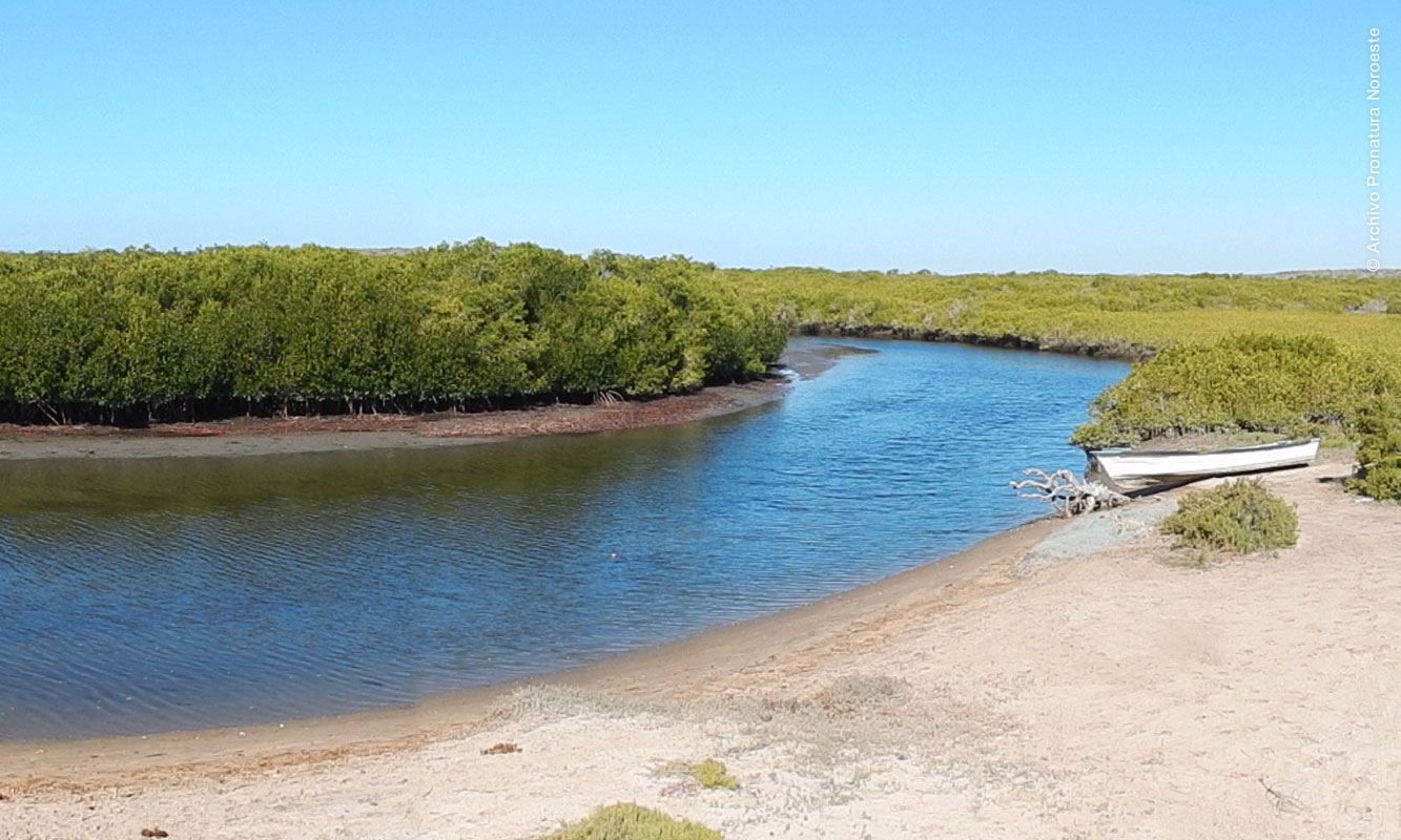Bahía Magdalena, Baja California Sur