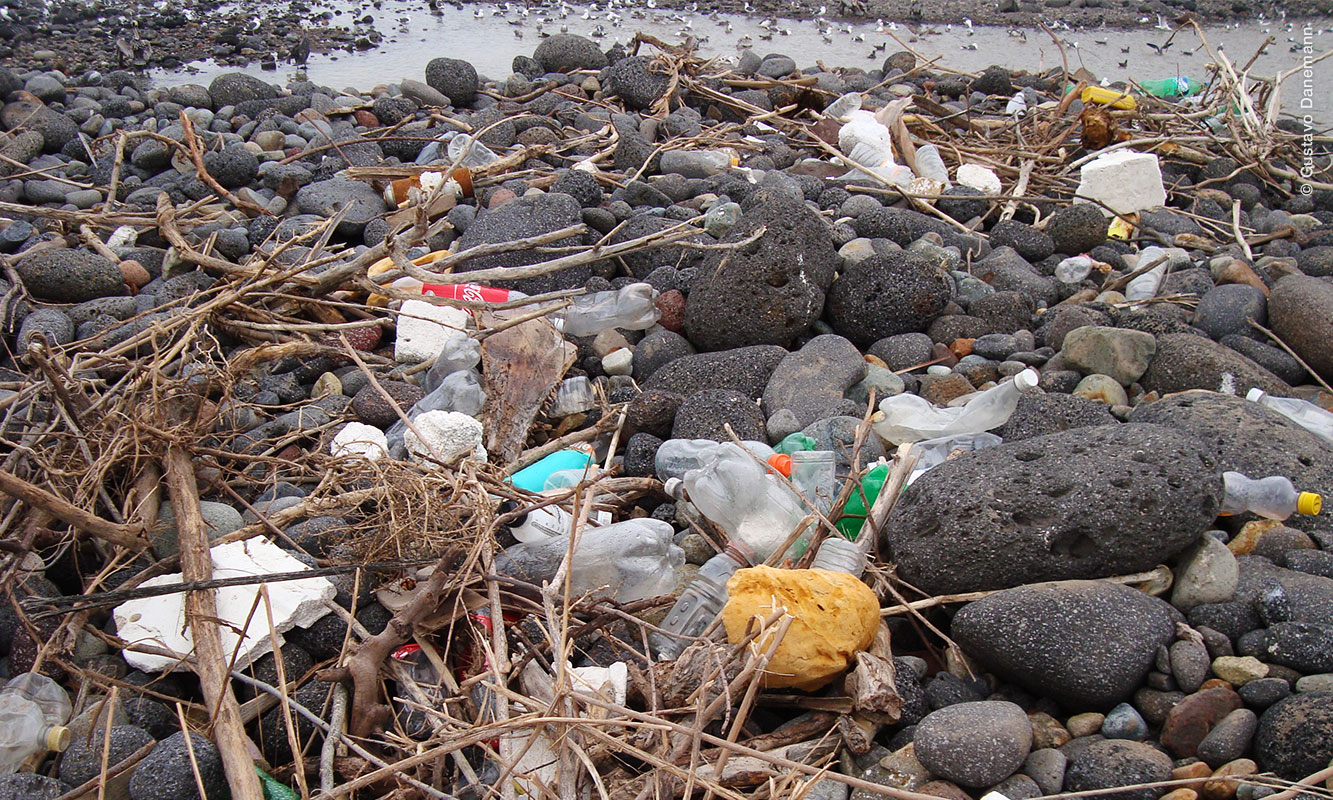 Plásticos en playa Arroyo San Miguel