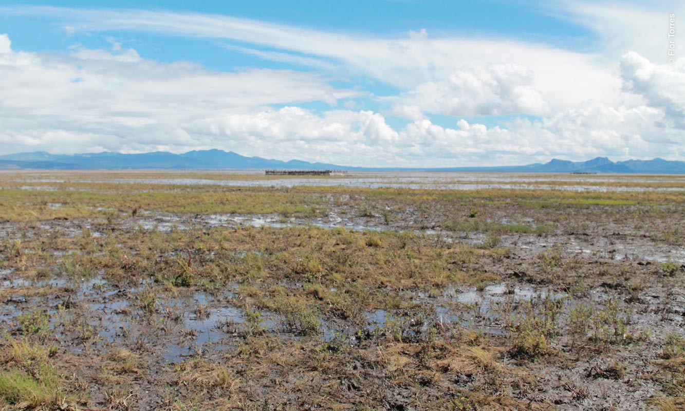 Laguna Babícora, Chihuahua