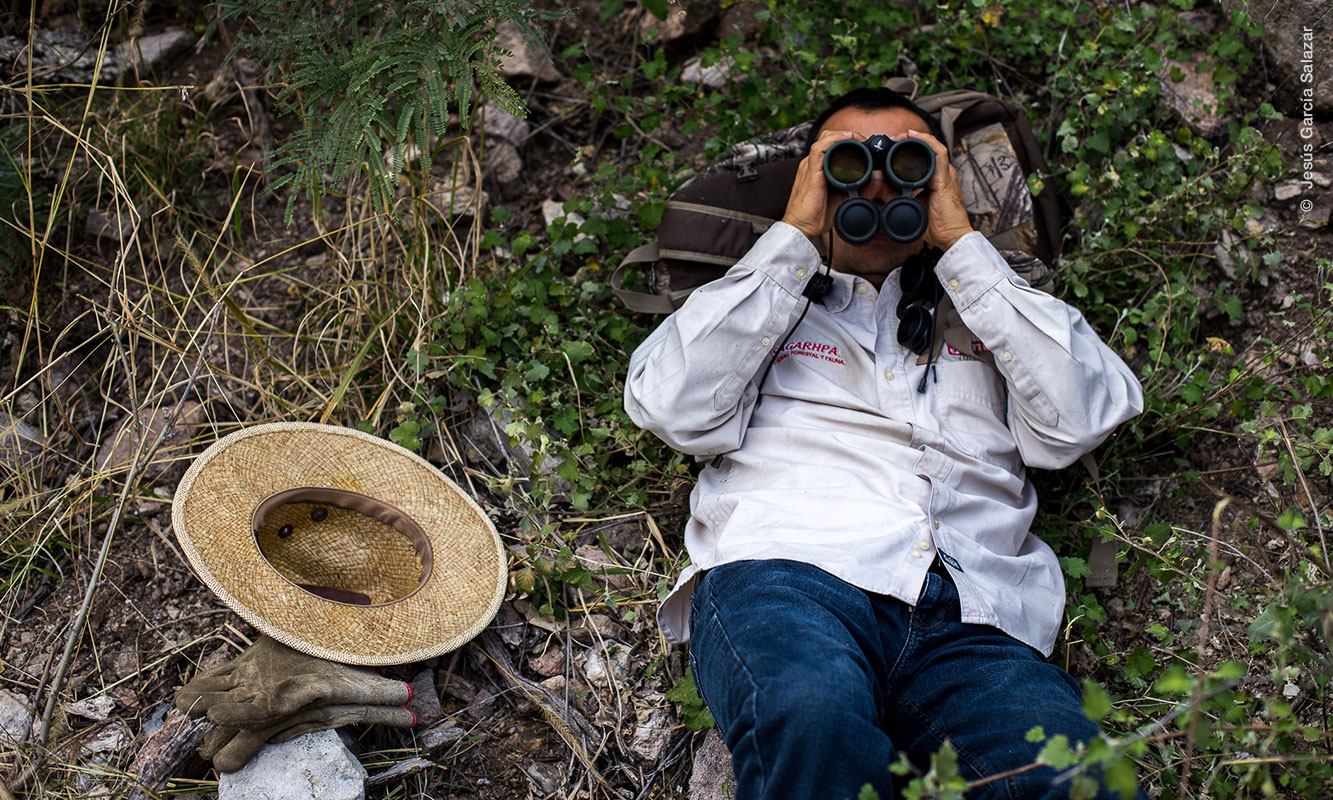 Experto en observación de aves en búsqueda de Águila Real