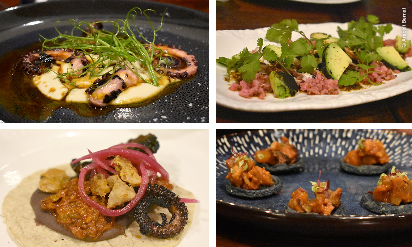 Degustación de platillos hechos con pulpo de Bahía de los Ángeles