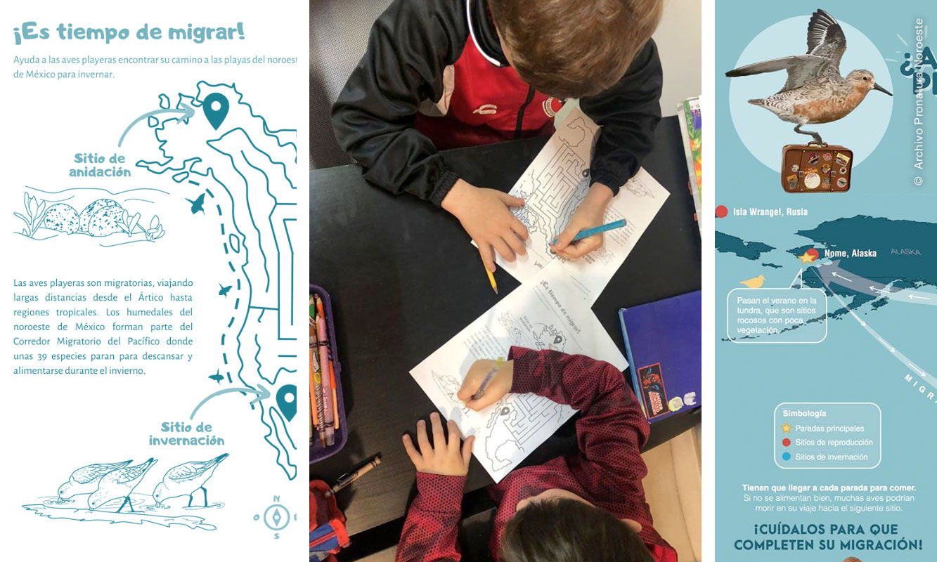 Collage from the Conservation Education activity “It’s time to migrate!”