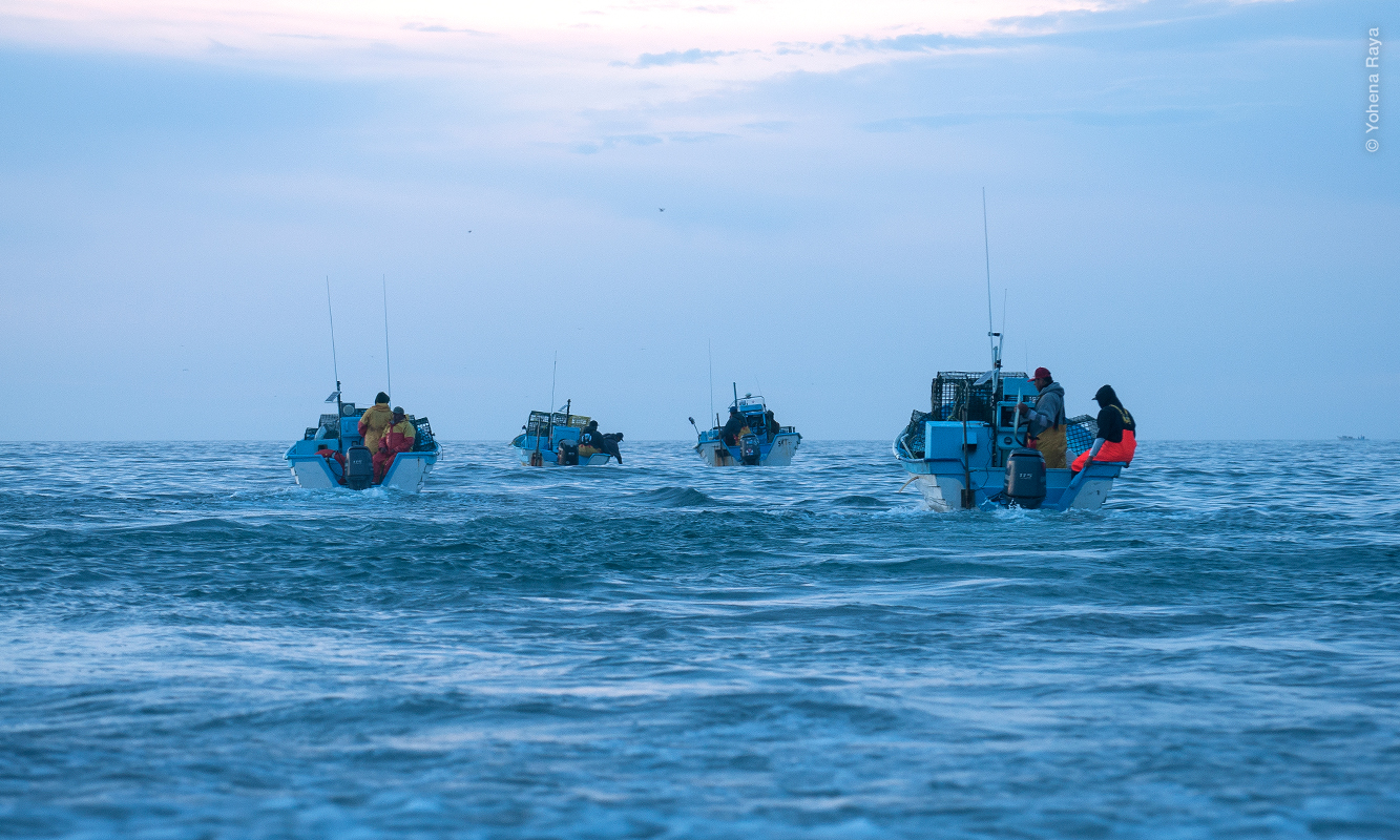 Pescadores al amanecer. Foto de Yohena Raya.