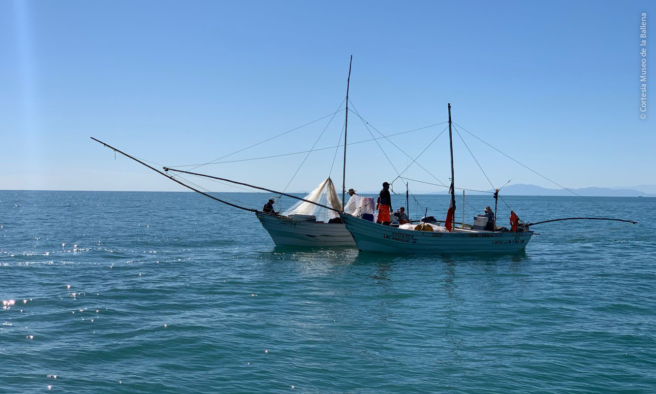 Embarcación pesquera en San Felipe