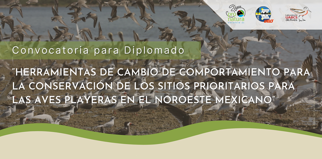 Convocatoria para diplomado