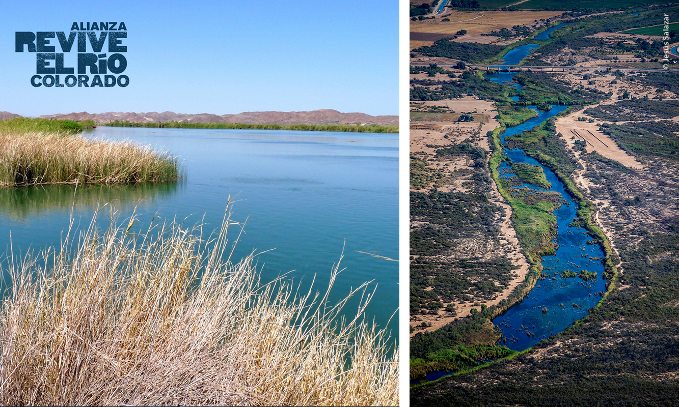 Vista aérea del Río colorado en Sonora
