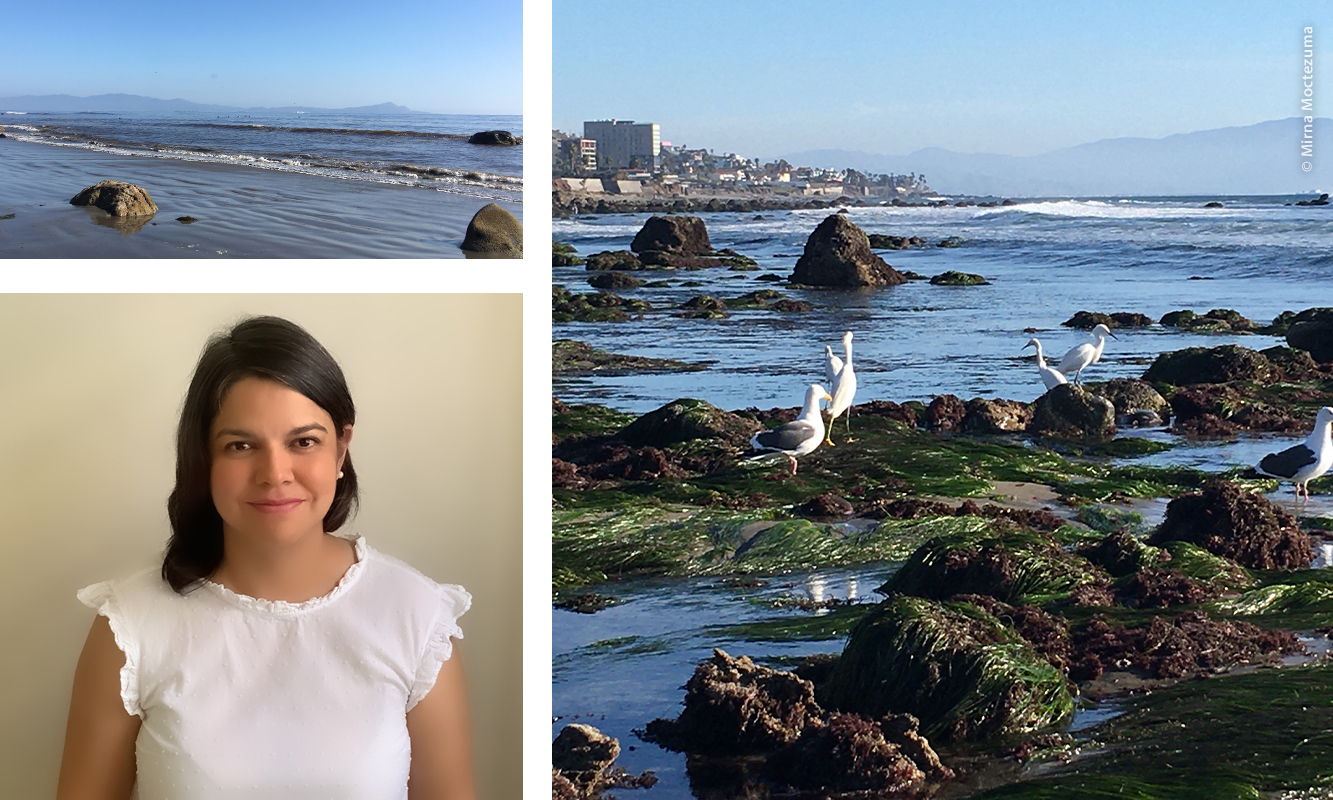 Collage de imágenes de playas de Ensenada y fotografía de Nohemí González