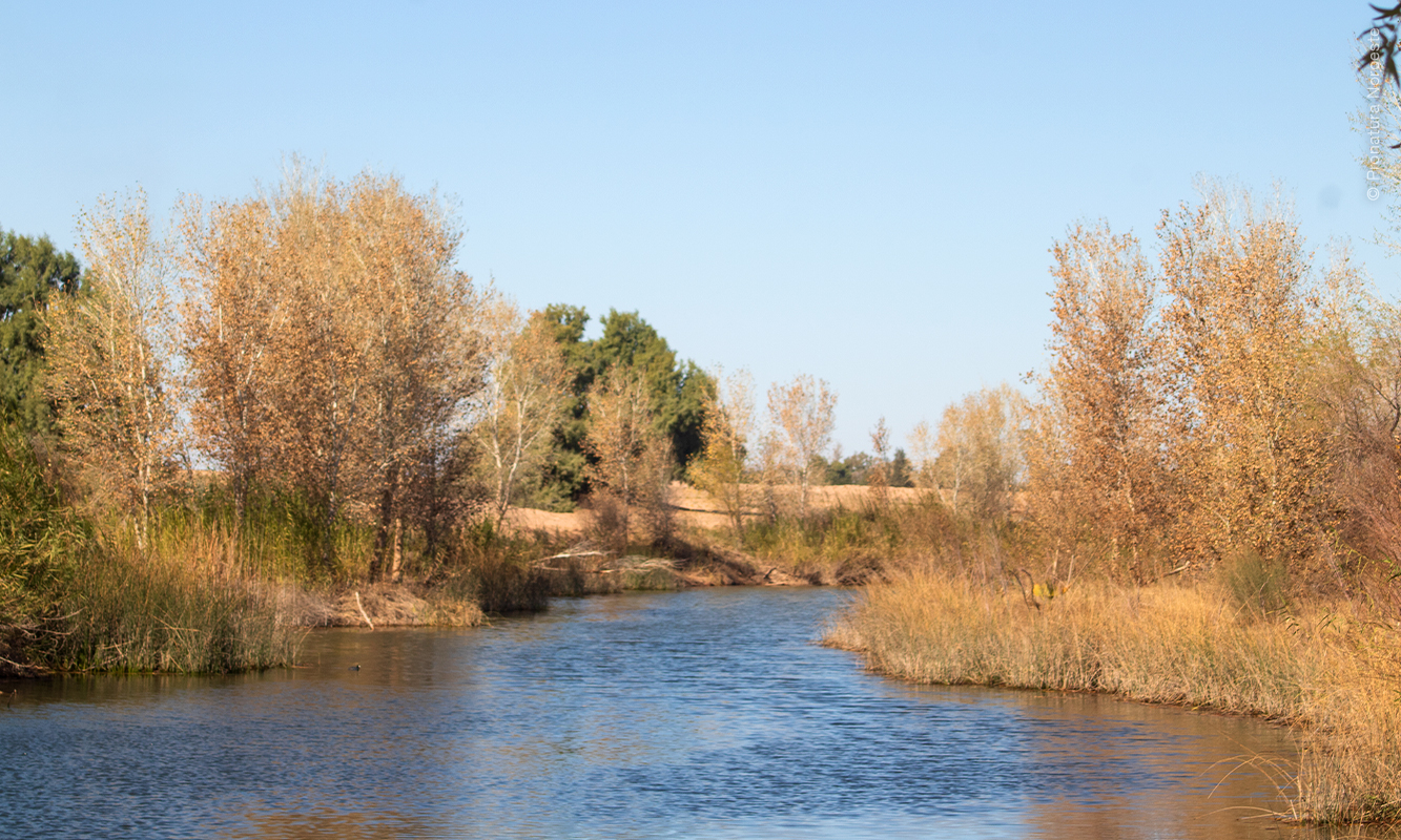 Paisaje del cauce del Río Colorado en Chausse