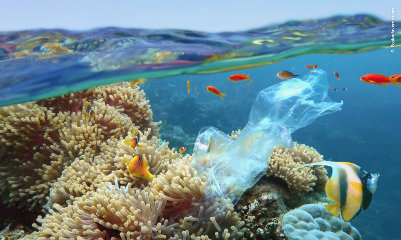 Bolsa de plástico en el mar