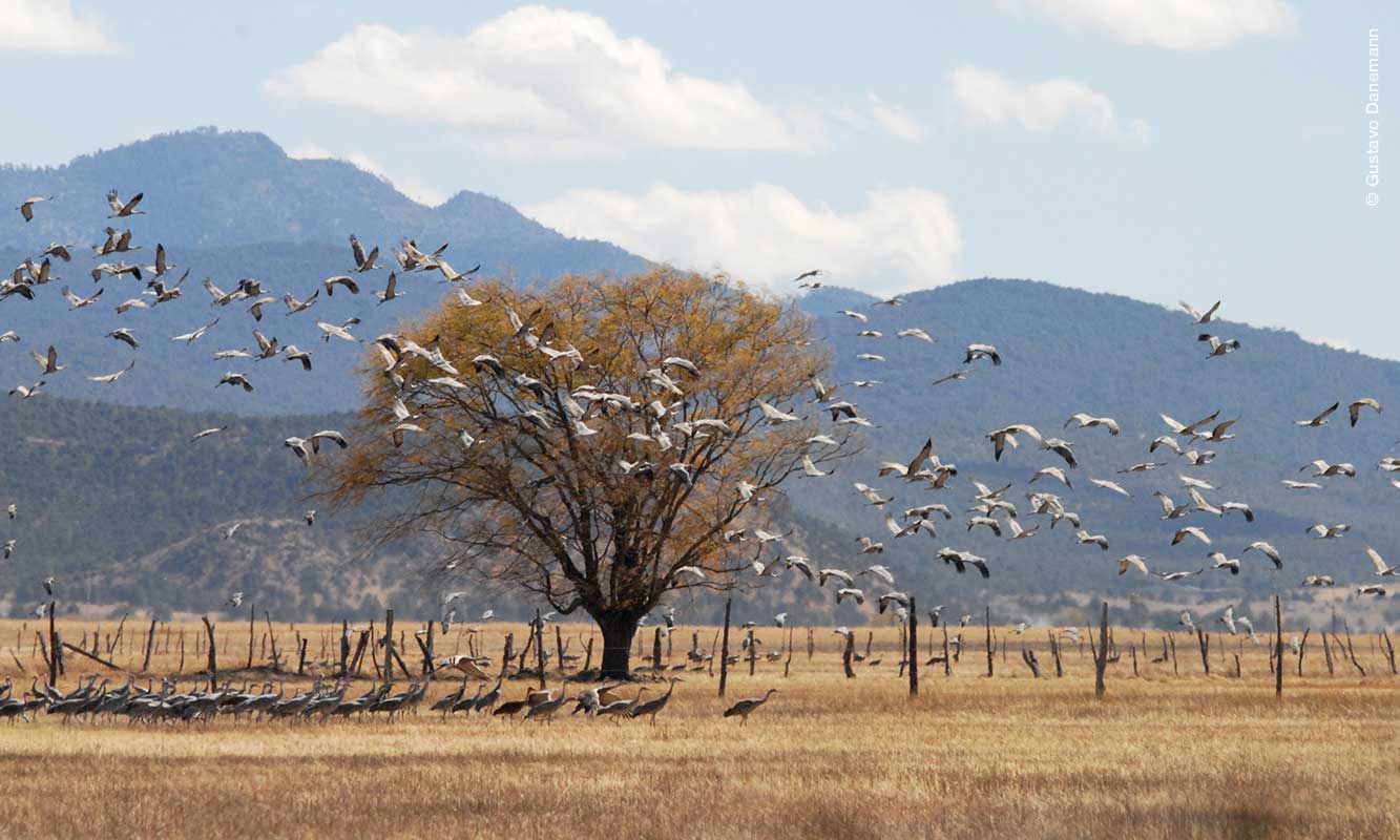Laguna Babícora, Chihuahua