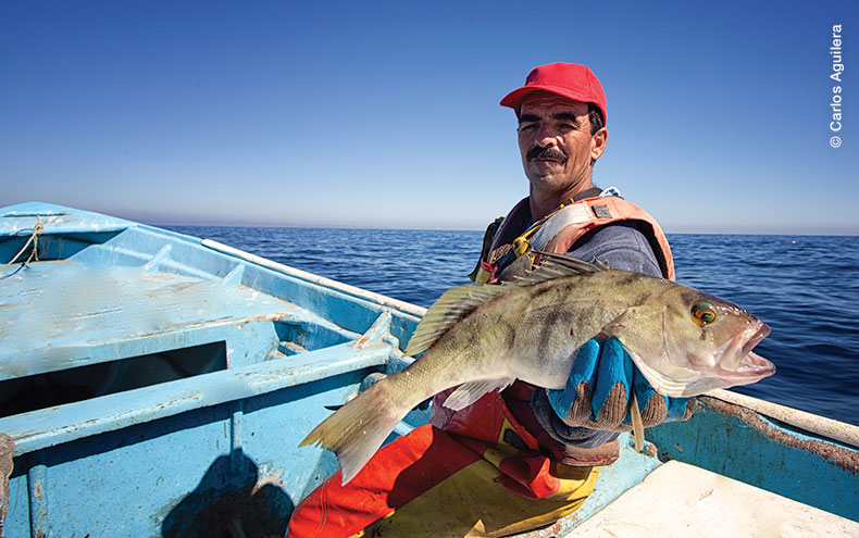 Pescador sosteniendo un verdillo en la panga. Foto por Carlos Aguilera.