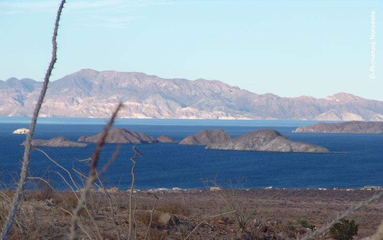 Paisaje de Bahía de Los Ángeles. 