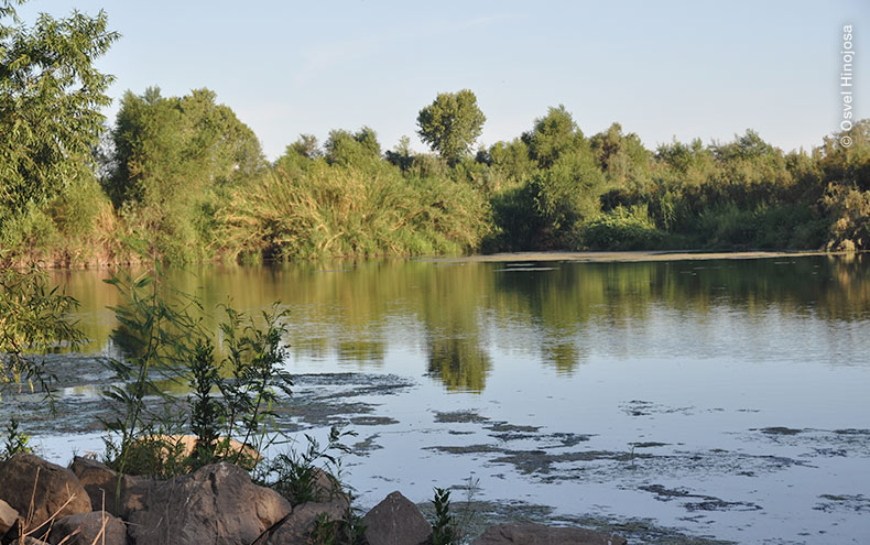 Delta del Río Colorado. Foto por Osvel Hinojosa.