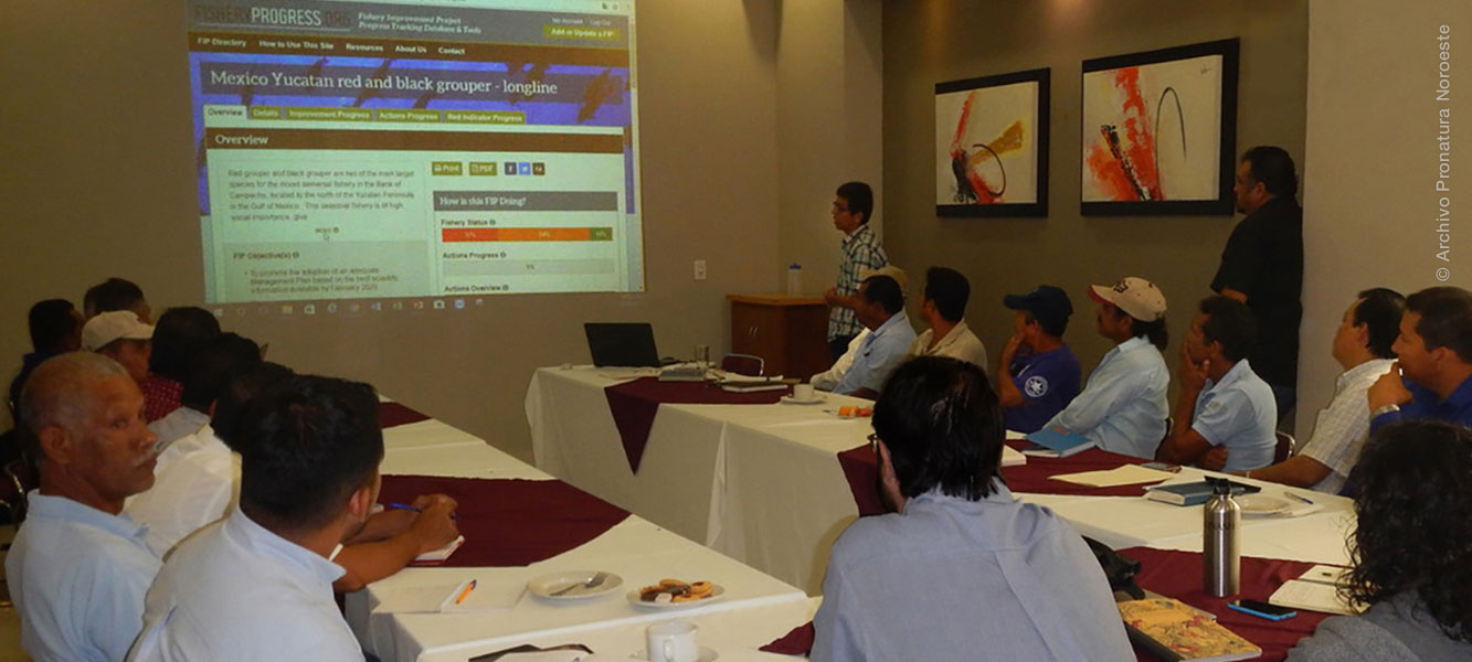 Reunión en Nayarit pesquería sosteniblede Robalo 