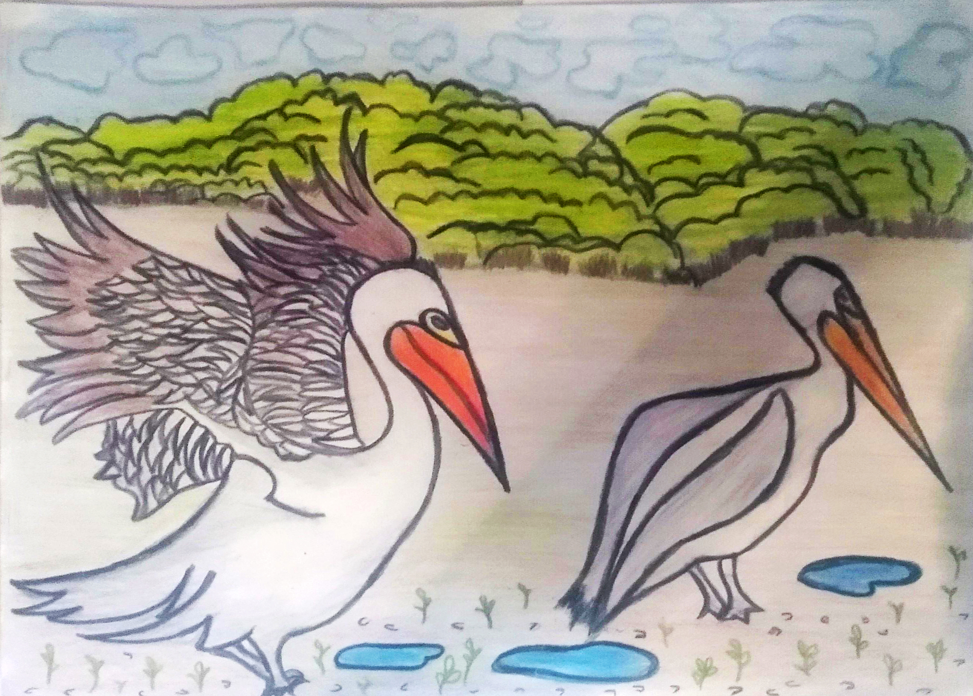 Dibujo de dos pelícanos blancos en la orilla de cuerpo de agua