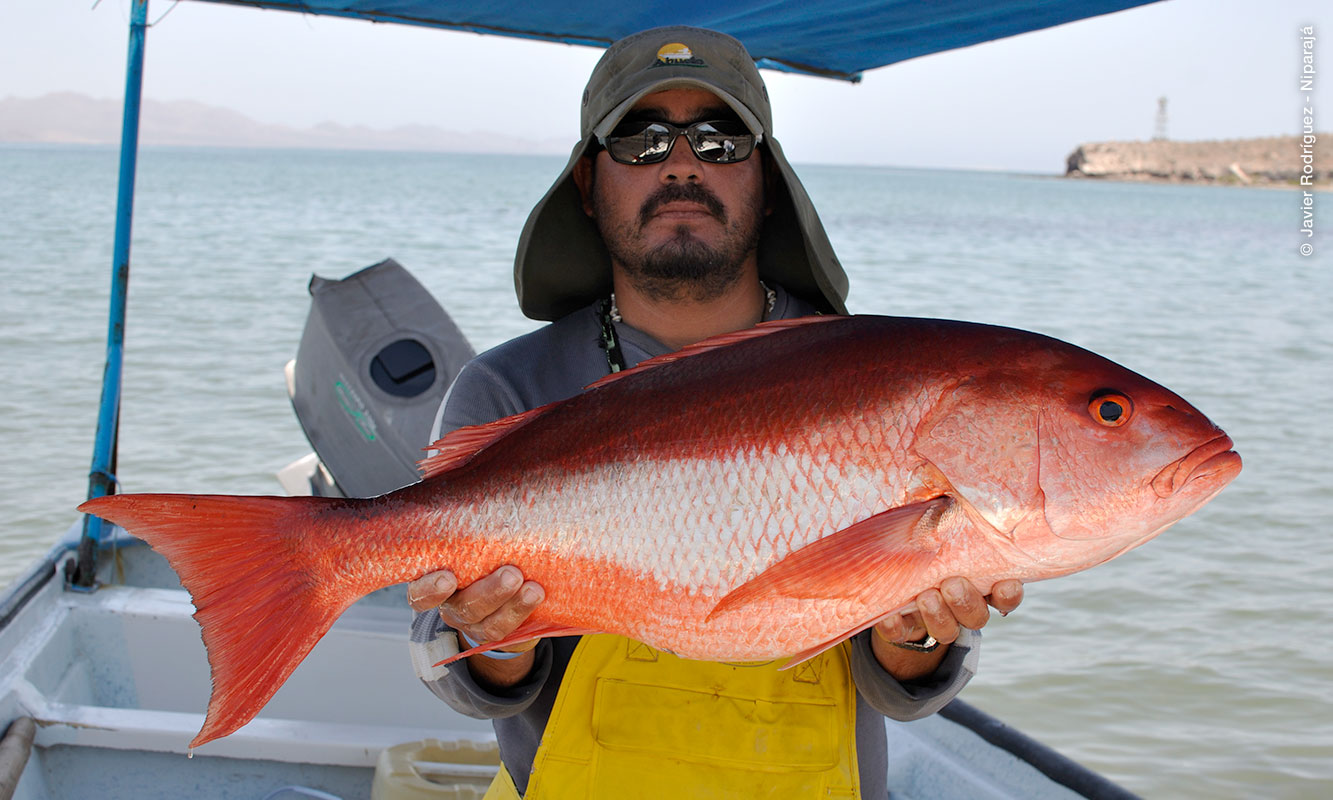 Pescador sosteniendo un pescado.