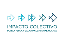 Logo de Impacto Colectivo