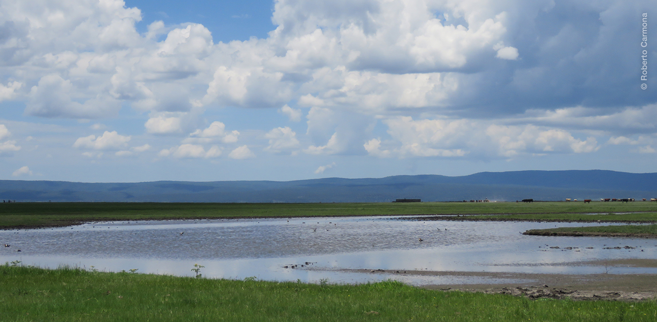 Paisaje Lagúna Babícora. Foto de Roberto Carmona.