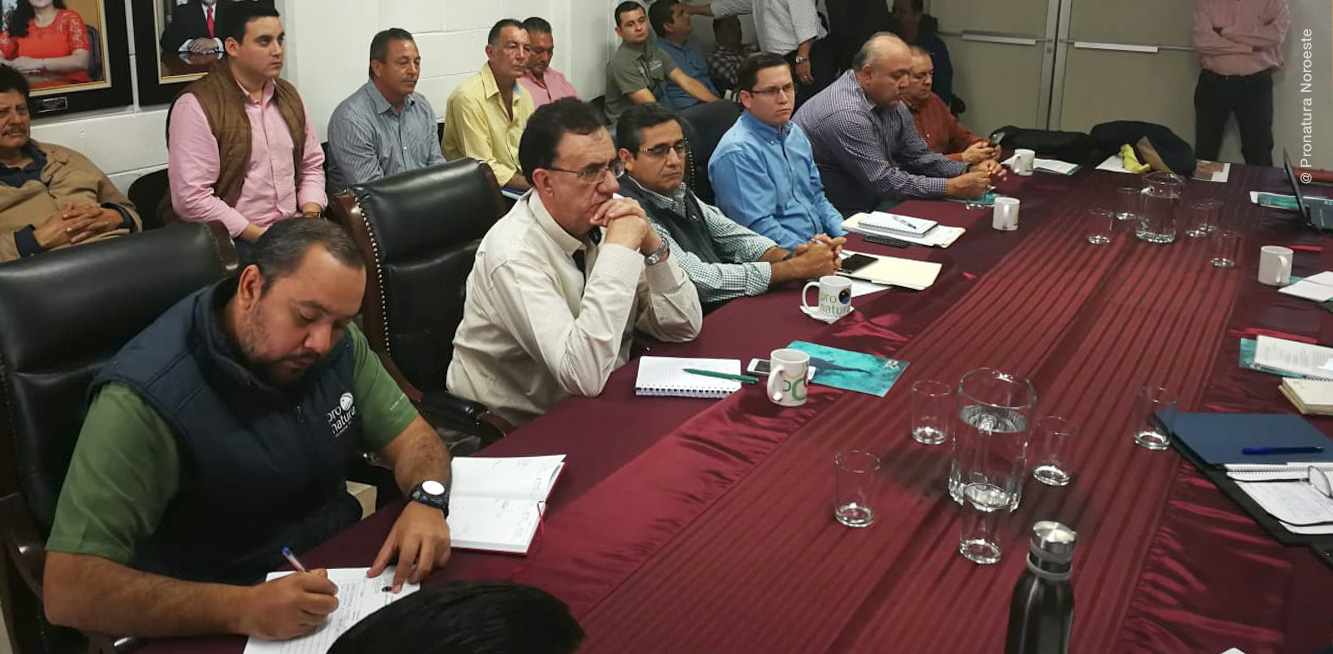 Grupo Especializado de Trabajo (GET)