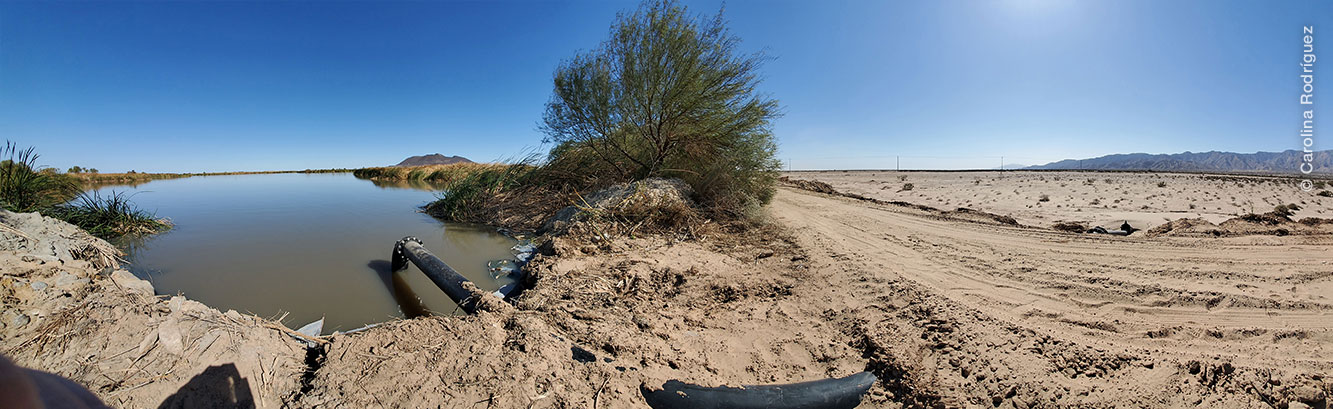 Panorámica del humedal del contraste Las Arenitas y el desierto de Mexicali