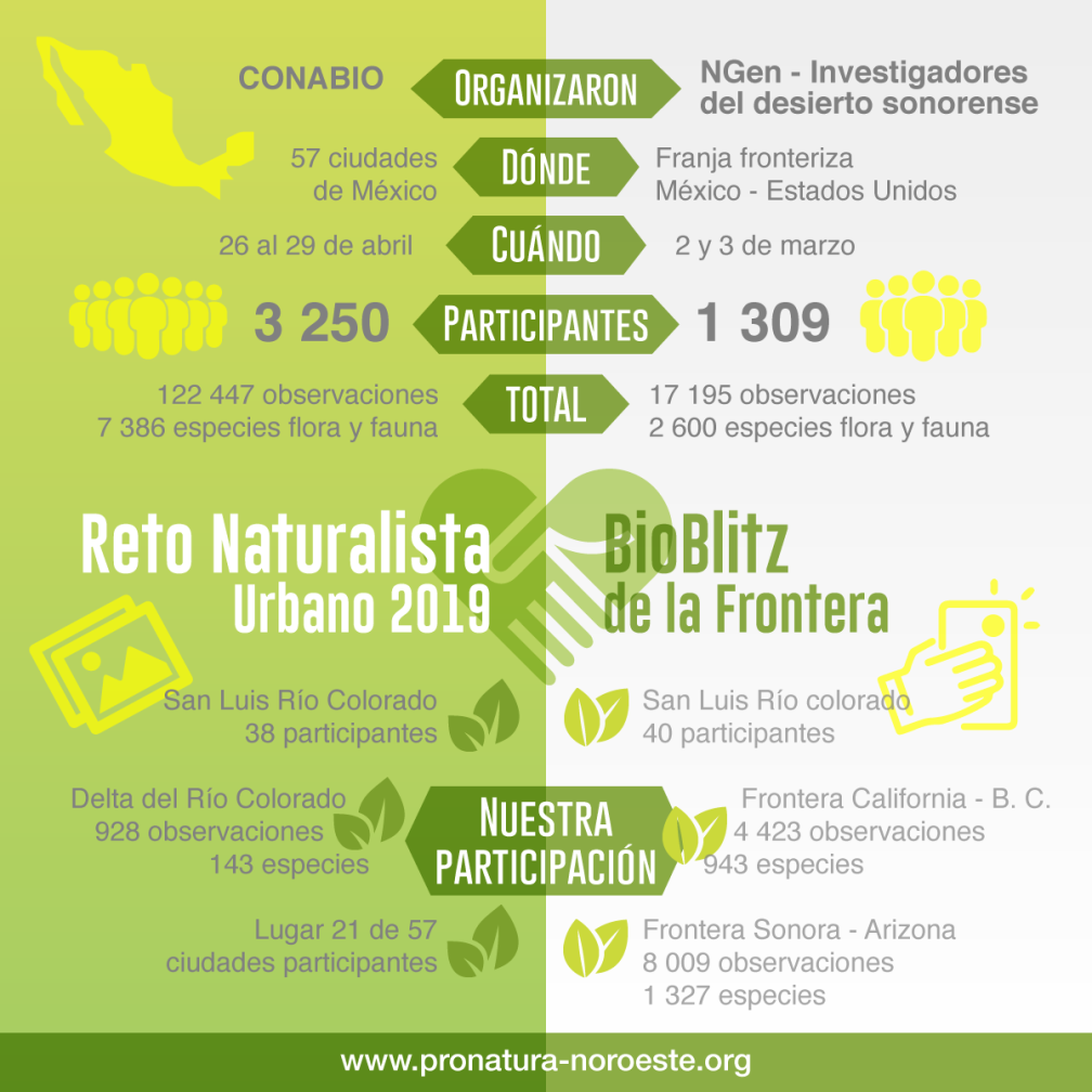 Infografía Bioblitz-RetoNaturalista