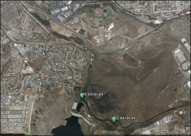 Reforestación Río Tijuana