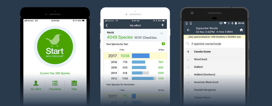 Imágenes de la app e-Bird