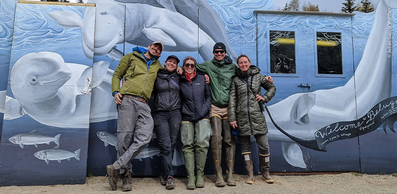 Equipo internacional de instalación de antenas