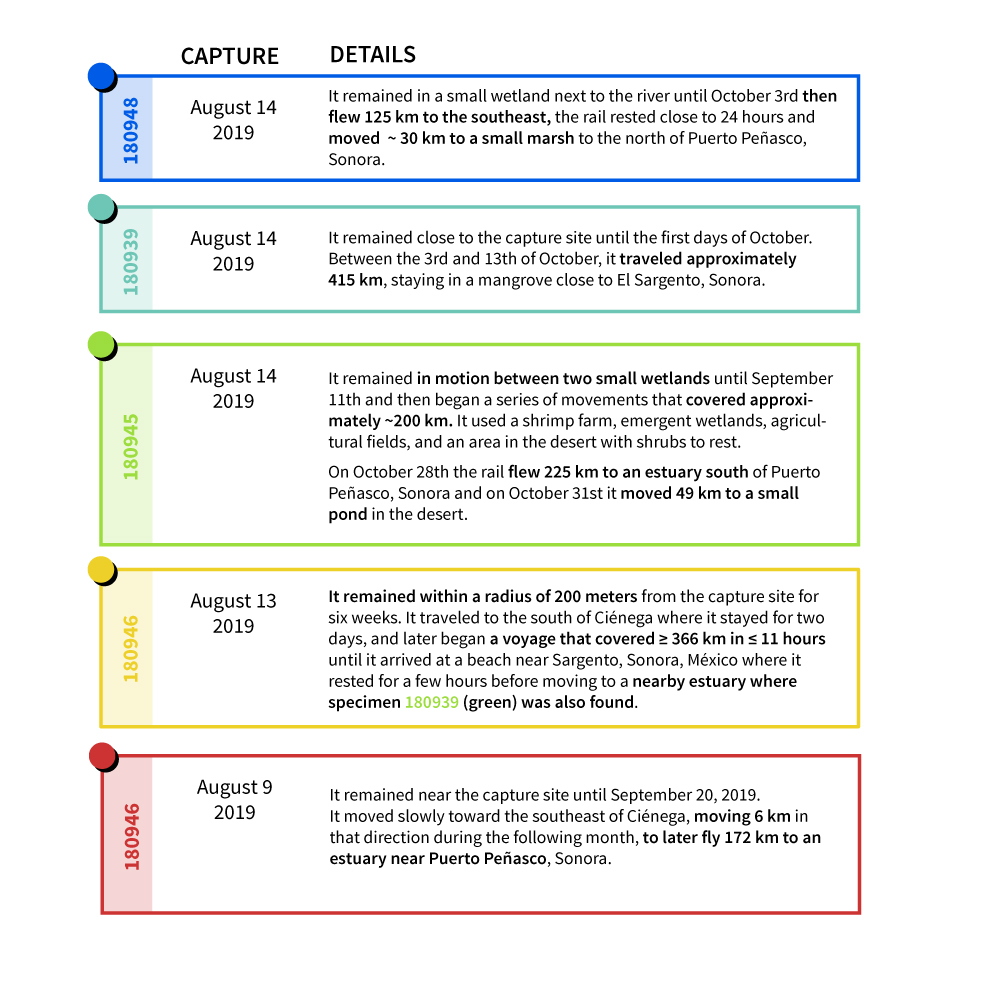Chart describing movements shown in the map above. 