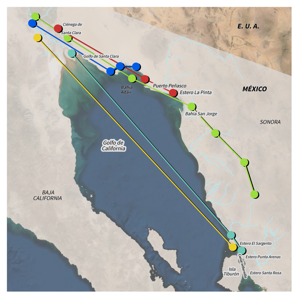 Mapa del Golfo de California con rutas de 5 palmoteadores de Yuma.