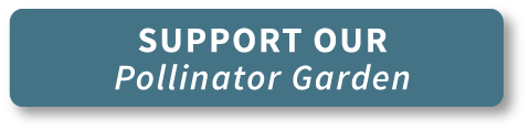 Support our Pollinator Garden
