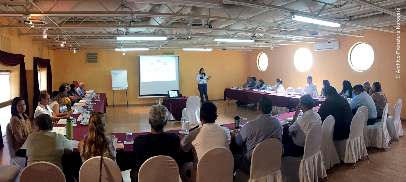 Reunión de consejo asesor