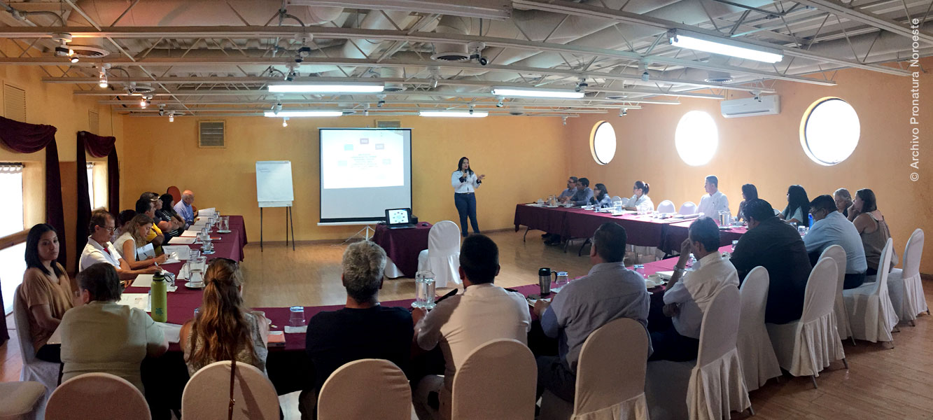 Reunión de consejo asesor