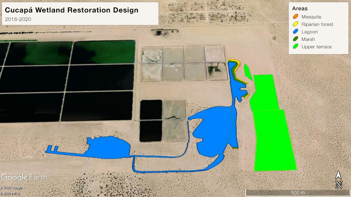 Cucapá Wetland Restoration Design