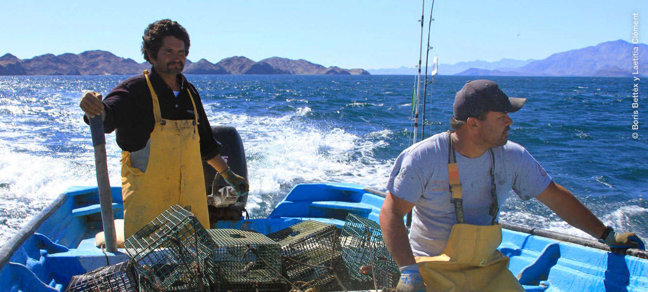 Pescadores que utilizan trampa como arte de pesca para la extracción de Pulpo, Bahía de los Ángeles, Baja California. 