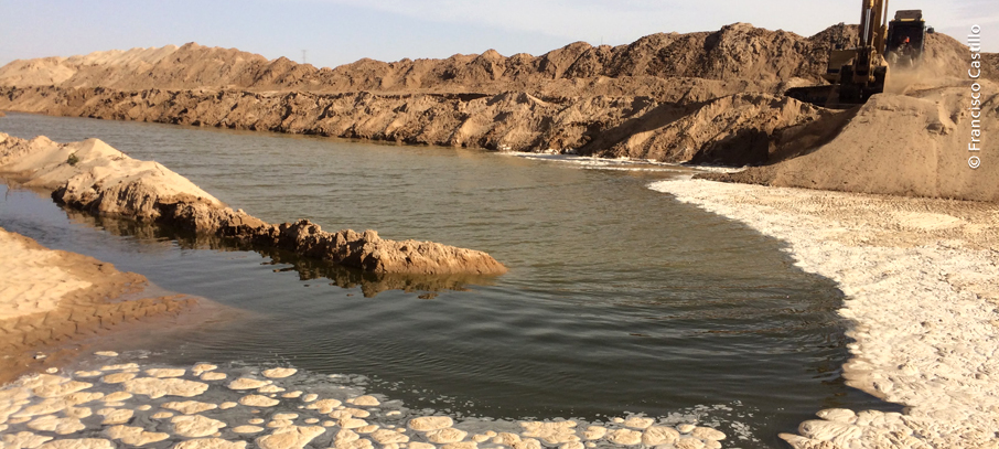 Proyecto Humedal Cucapá.