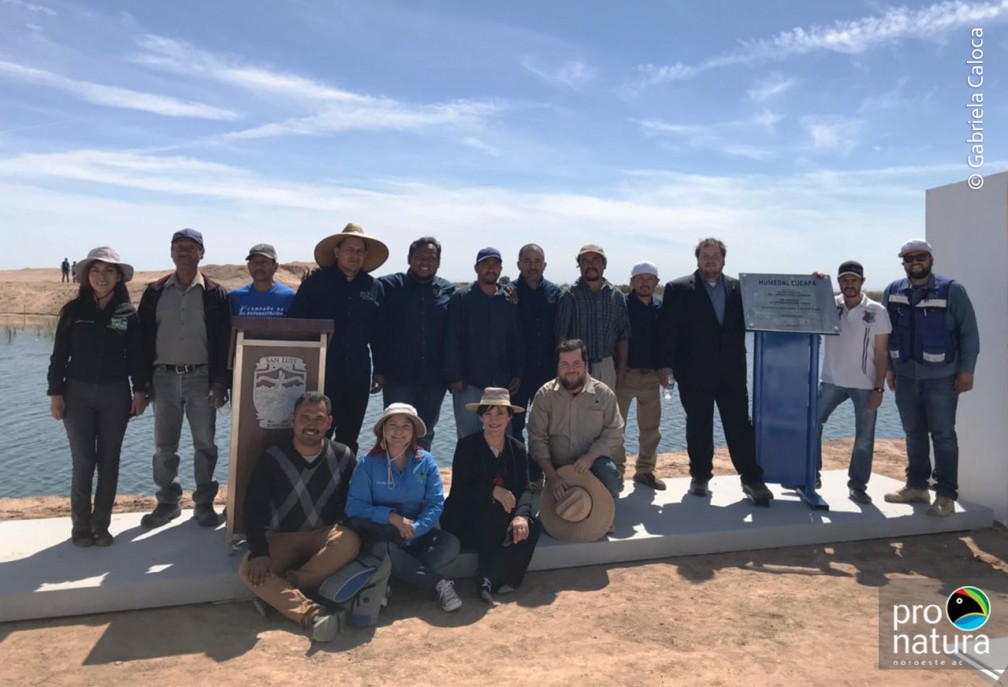 Equipo de Pronatura Noroeste en San Luis Río Colorado, Sonora, durante la inauguración del Humedal Cucapá.