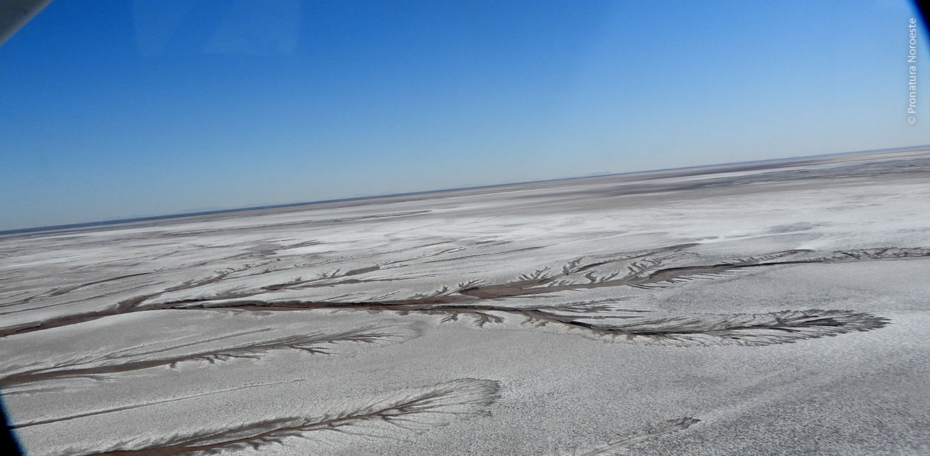 Imagen aérea desde la avioneta