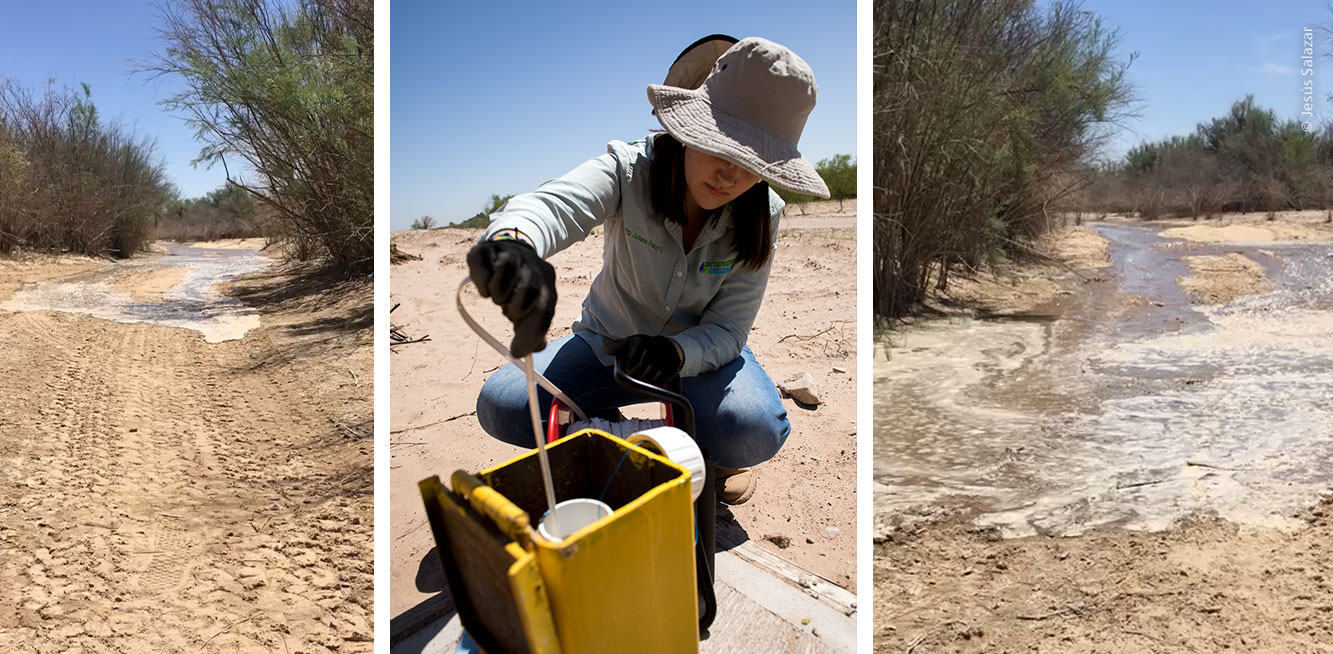 Avance del agua y muestreo.