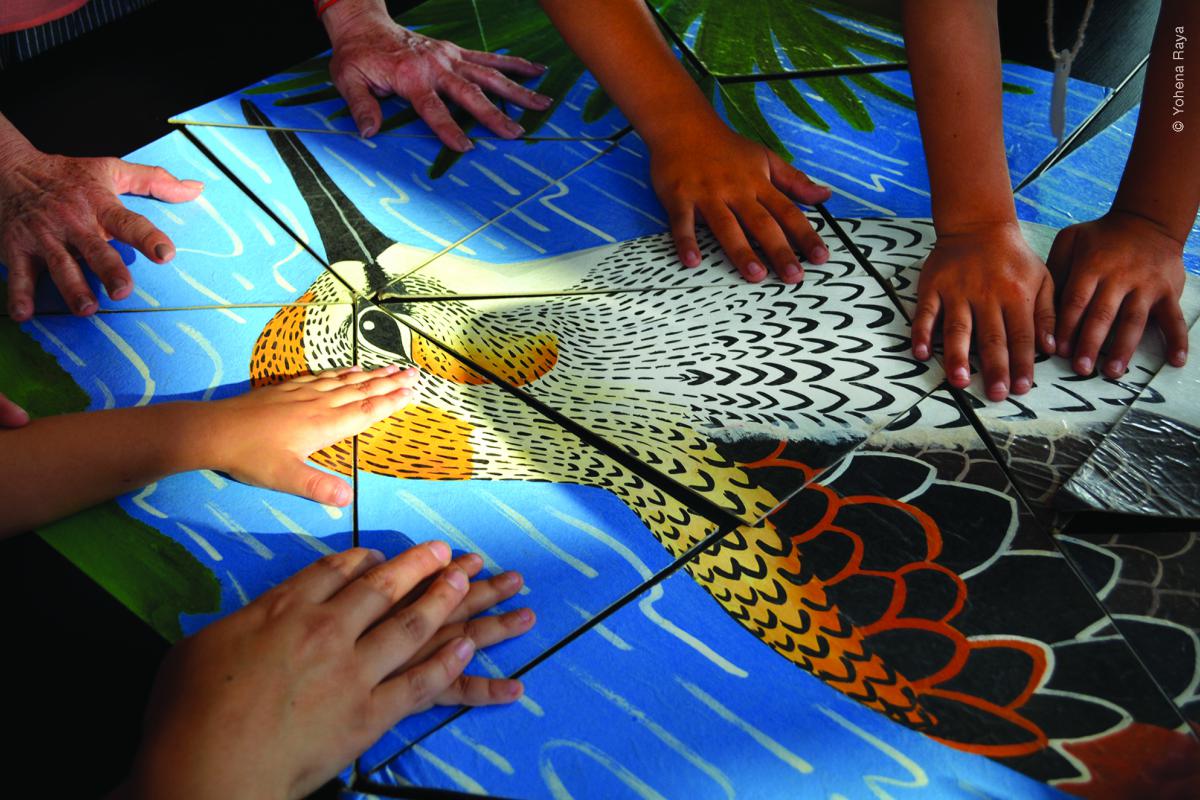 Programa de Educación para la Conservación