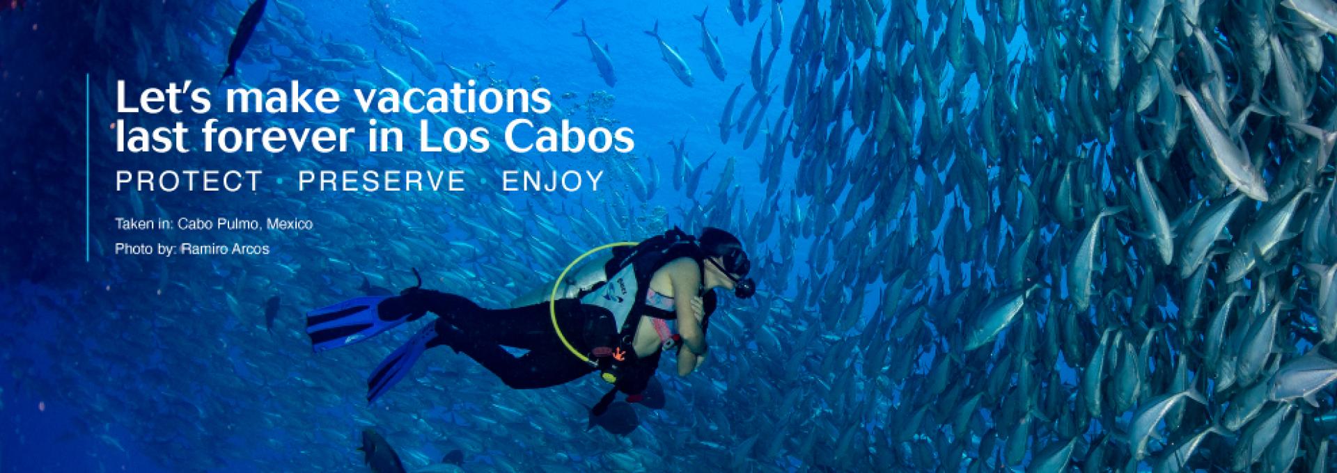 Buzo nadando debajo de un cardumen de peces en Cabo Pulmo.
