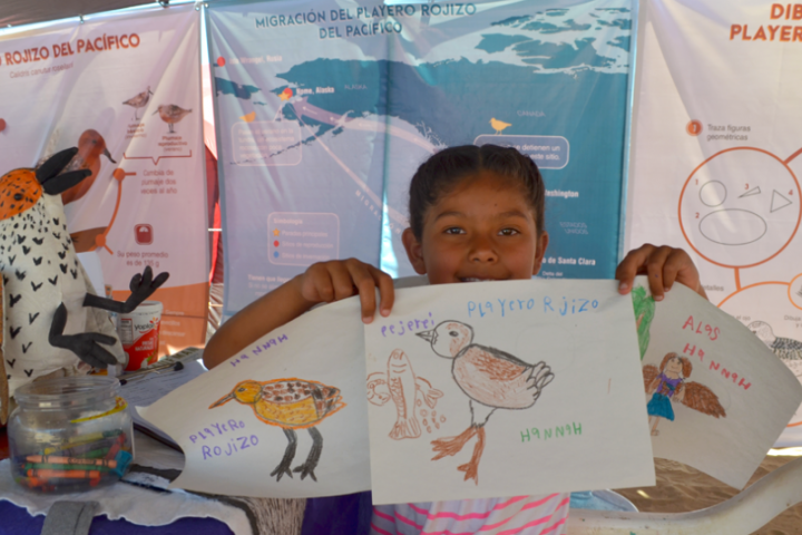 Niña con dibujo de ave playera