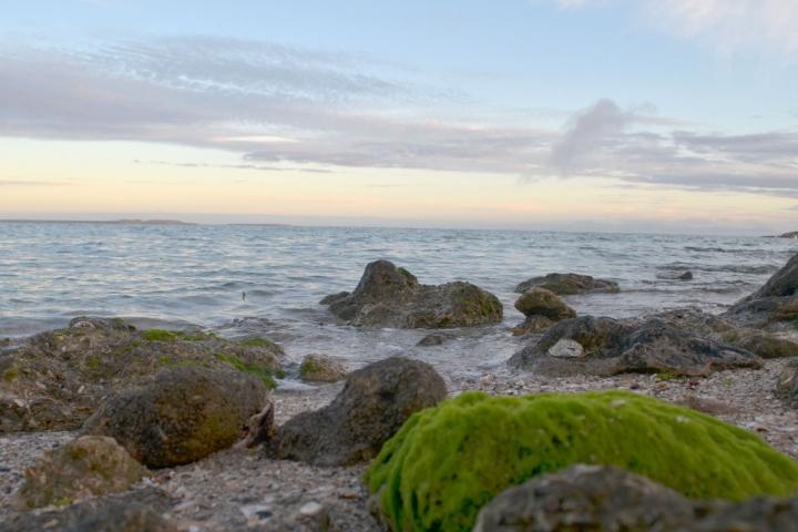 Paisaje Laguna San Ignacio.