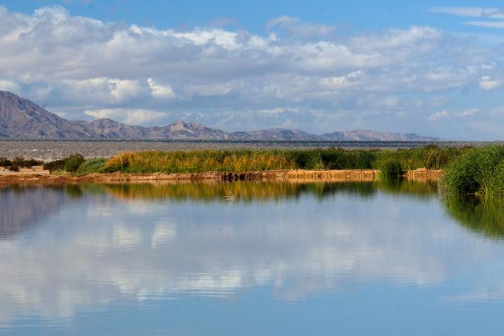 Humedal Ciénega de Santa Clara