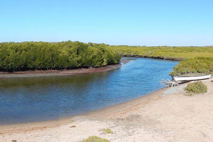 Bahía Magdalena, Baja California Sur