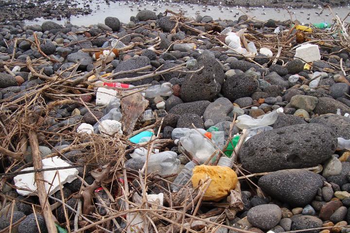 Plásticos en playa Arroyo San Miguel